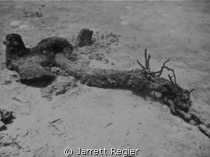 A detached anchor of the OV wreck. by Jarrett Regier 